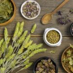 8 Plantes Médicinales Essentielles pour la Santé et le Bien-être