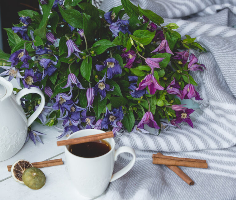 Les meilleures plantes pour un sommeil naturel : lavande, valériane et autres alliées de vos nuits